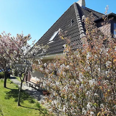 Haus Zephir 3-zimmerwohung Nr 2